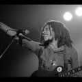 Bob Marley -Live At Jaap Edenhal, Amsterdam 06/13/76