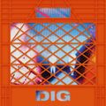 DIG – Issue 9