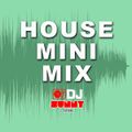 Dj Sunny - Mini House Mix