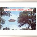 flying saucers are real