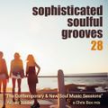 Sophisticated Soulful Grooves Volume 28 (August 2019)
