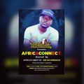 AfricaConnect 2016 set 2 Silverbackdjz live Geneva Switzerland