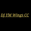 EDM BASS 逆袭【• 离人愁 • bass down low • 思念是一把刀 • 最初的温柔 】DJ YM Wings cc MIX 