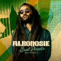Alborosie - Acoustic album mix
