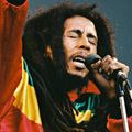 Bob Marley & The Wailers_1980-4-18 Rotterdam, NL  Ahoy Hallen