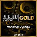 Jungle Hits Gold | Continuous Mix