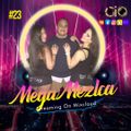 MEGA MEZCLA #23