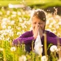 Cambio climático alarga las temporadas de polen y afecta el sistema respiratorio