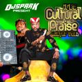 IGBO CULTURAL PRAISE VOL 2 MIX ( LATEST CULTURAL 2021 AFRO POP MIX )BY DJ SPARK