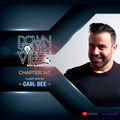 Downsouth Vibes - EP 147 By Carl Bee