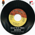 HALF WAY TREE RIDDIM MIX (REMASTERED RIDDIM PROMO) - [ZjGENERAL].mp3