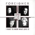 My New Remix of Blondish Sunrise Jungle Vocal Foreigner's I Want To Know What Love Is