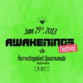 Reeko & Oscar Mulero @ Awakenings Festival 2013 at Spaarnwoude 29-06-2013