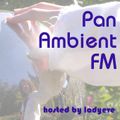 PanAmbientFM_24
