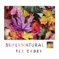 Tez Cadey - Supernatural #23
