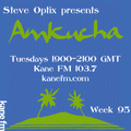 Steve Optix Presents Amkucha on Kane FM 103.7 - Week Ninety Five