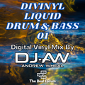 Divinyl Liquid Drum & Bass 01