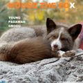 MOUSE THE FOX - YOUNG PADAWAN GROGU - VOL.47 - 08.05.2022