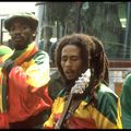 Bob Marley & The Wailers -  6-8-1980 Kaiserslautern, Germany Betzenburg Stadium
