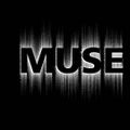 SPING- MUSE