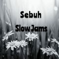 Sebuh - Slow Jams