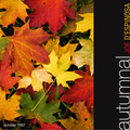 autumnal: morning music for fall . joe d'espinosa