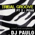DJ PAULO-TRIBAL GROOVE Pt 2 (PEAK) Spring 2018