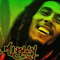 DJ Floops - Bob Marley and His Music Friends Reggae