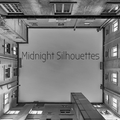 Midnight Silhouettes 11-8-20