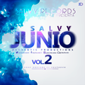 4. Salvy Junio vol.2 Los Brindis Mix by EverDJ (SR)