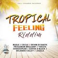 Tropical Feeling Riddim Vol 1 Mixx hosted by Dj Duke 254