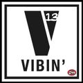 VIBIN 13: Summer Vibes
