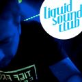 [LSC#11ø] the VINYLIZER - the advent of winter // Liquid Sound Club // Bad Schandau // 12-03-2016