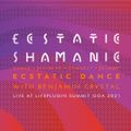 Shamanic Ecstatic Dance @ LifePlugin with Benjamin Crystal