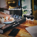 Ambiental Feelings Vol 6