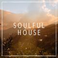 Soulful House Mix 2021.05.14