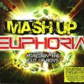 Mash Up Euphoria - Mixed by The Cut Up Boys (2009)