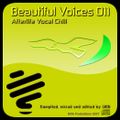 MDB Beautiful Voices 11 (Afterlife Vocal-Chill Mix)
