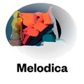 Melodica 5 July 2021
