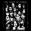 ONE THING IN COMMON - 3LP MIX