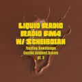 Scheibosans Liquid Radio Downtempo #3