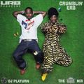 DJ Platurn -- Crumblin' Erb (The Outkast Mix)