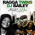 Bailey & Ragga Twins - Sol Fud, Dublin - July 2017