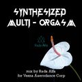 Synthesized Multi-Orgazm (mix by Rada Alfa for Vesna Aerodance Corp.)