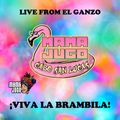 Viva La Brambila // Live From Hotel El Ganzo