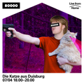 Die Katze aus Duisburg Nr. 28 (Live from Home)