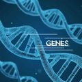 GENES / 1 1 - GENES