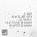 Soul Cleanse Radio #32 by Action Levi