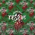 Absolute Reggae 3 Medley (Mixed by Eric Hector & Niklas Ehring)