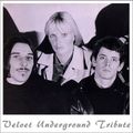 Velvet Underground Tribute - by Babis Argyriou